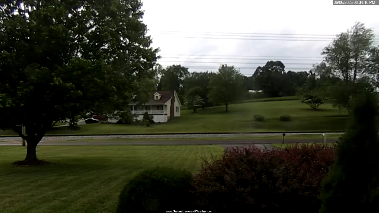 Camera Feed